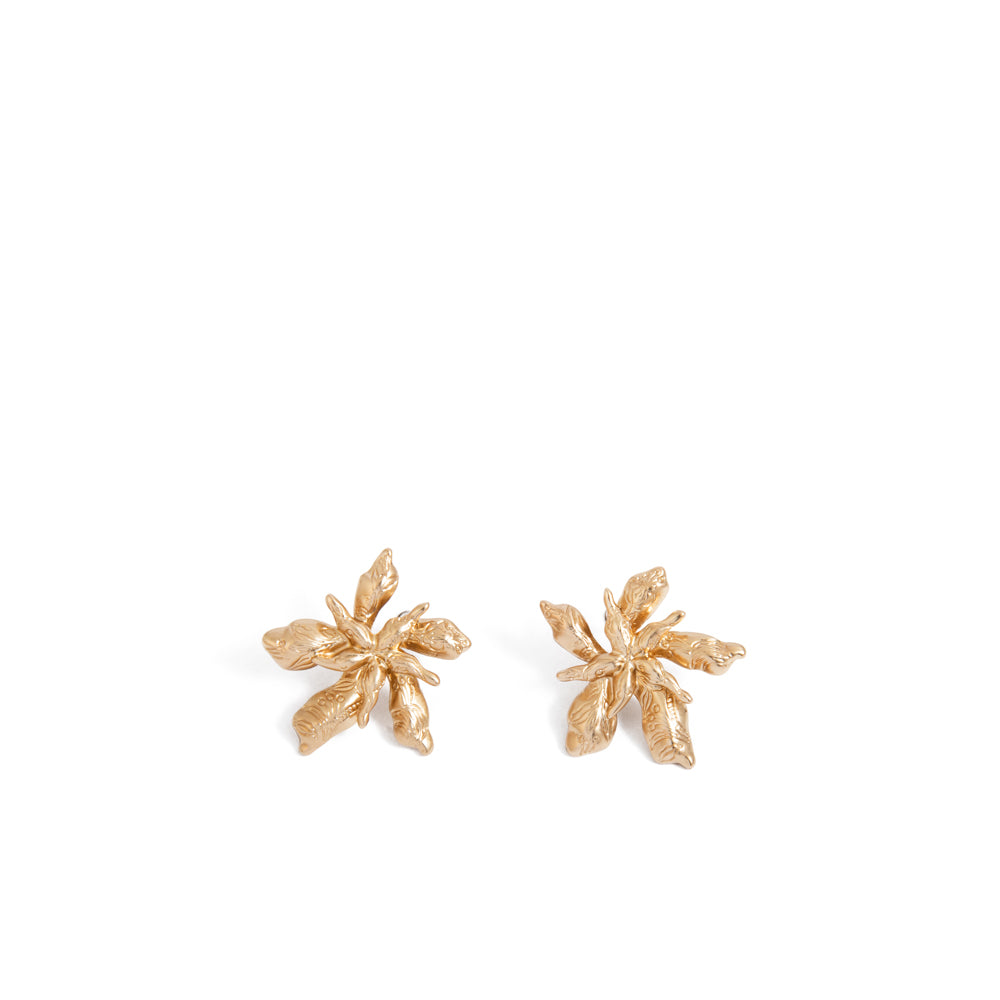 Aros jaci dorado