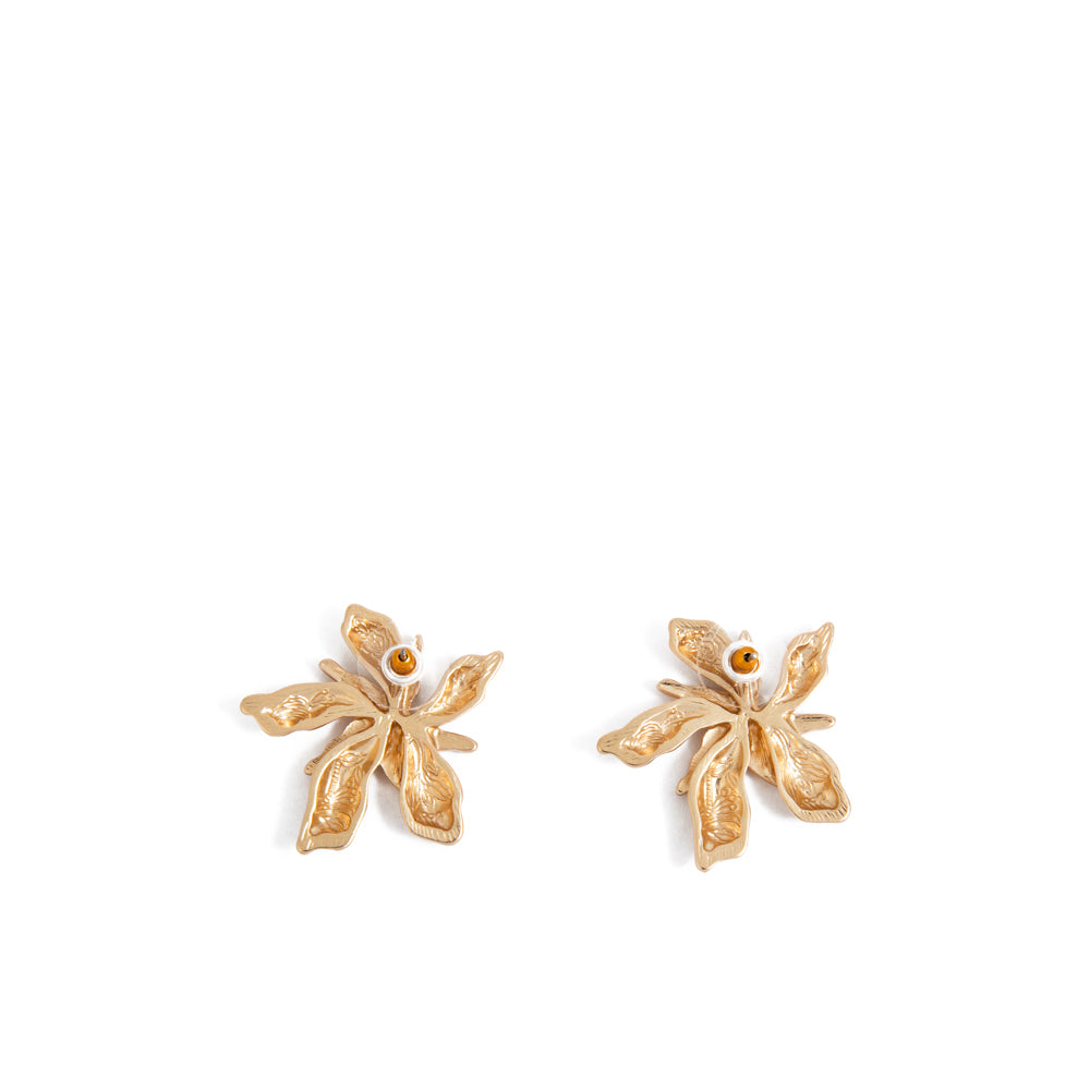 Aros jaci dorado