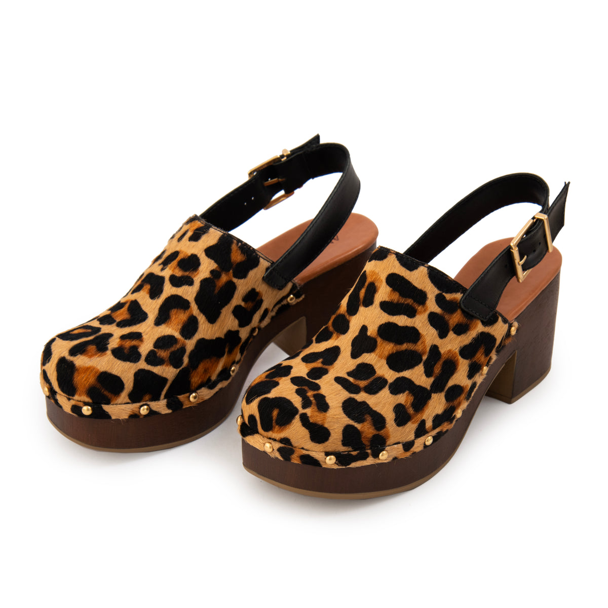Sueco kaia camel